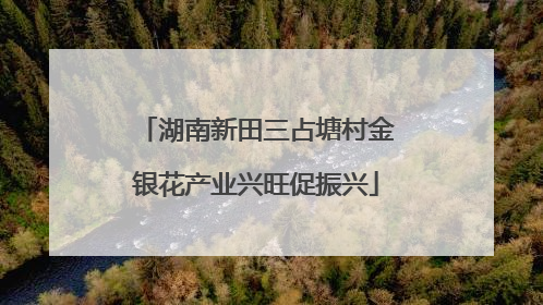 湖南新田三占塘村金银花产业兴旺促振兴